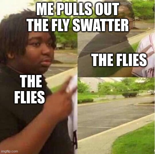 sub to my new youtube channel zakdarat | ME PULLS OUT THE FLY SWATTER; THE FLIES; THE FLIES | image tagged in disappearing | made w/ Imgflip meme maker