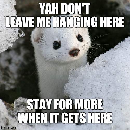 Don’t leave me!  | YAH DON'T LEAVE ME HANGING HERE; STAY FOR MORE WHEN IT GETS HERE | image tagged in grump weasel | made w/ Imgflip meme maker