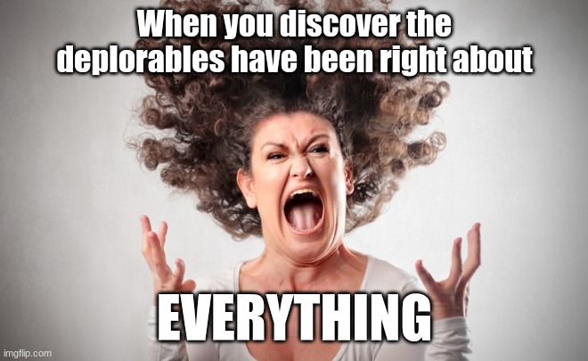 Deplorables Right | When you discover the deplorables have been right about; EVERYTHING | image tagged in freak out,deplorables,stupid liberals,covid-19,covid vaccine | made w/ Imgflip meme maker
