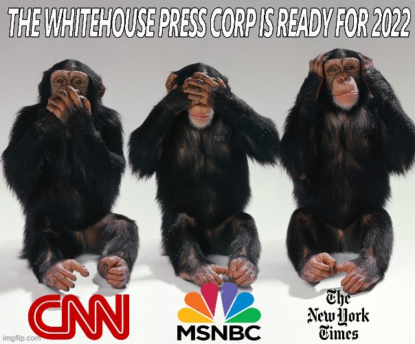 The 'Liberal Press' is the enemy of our country | image tagged in fake news,lying liberals,stupid liberals | made w/ Imgflip meme maker