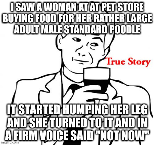 Probably the only thing I wish I could unhear |  I SAW A WOMAN AT AT PET STORE
BUYING FOOD FOR HER RATHER LARGE
ADULT MALE STANDARD POODLE; IT STARTED HUMPING HER LEG
AND SHE TURNED TO IT AND IN
A FIRM VOICE SAID "NOT NOW" | image tagged in memes,true story | made w/ Imgflip meme maker