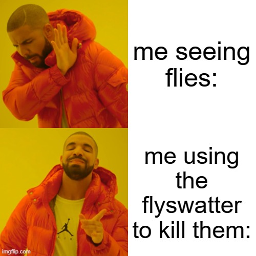 Drake Hotline Bling Meme | me seeing flies: me using the flyswatter to kill them: | image tagged in memes,drake hotline bling | made w/ Imgflip meme maker