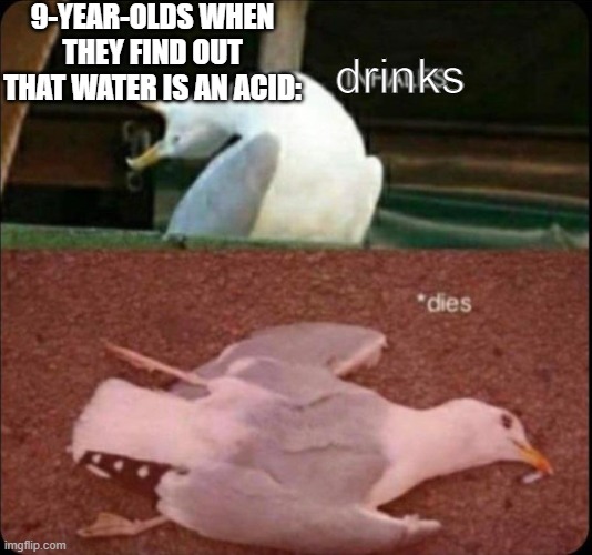 water | 9-YEAR-OLDS WHEN THEY FIND OUT THAT WATER IS AN ACID:; drinks | image tagged in inhales dies bird,water,immature | made w/ Imgflip meme maker
