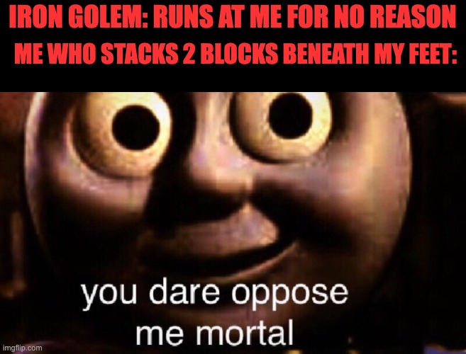 You dare oppose me mortal | IRON GOLEM: RUNS AT ME FOR NO REASON; ME WHO STACKS 2 BLOCKS BENEATH MY FEET: | image tagged in you dare oppose me mortal,memes,minecraft | made w/ Imgflip meme maker