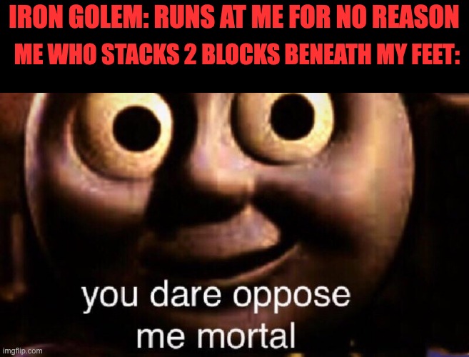 You dare oppose me mortal | IRON GOLEM: RUNS AT ME FOR NO REASON; ME WHO STACKS 2 BLOCKS BENEATH MY FEET: | image tagged in you dare oppose me mortal,memes,minecraft | made w/ Imgflip meme maker