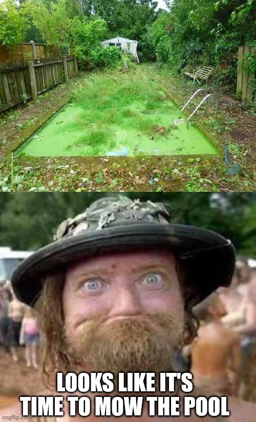 GONNA HAVE TO CUT THE POOL GRASS |  LOOKS LIKE IT'S TIME TO MOW THE POOL | image tagged in hillbilly,pool,lawnmower,grass | made w/ Imgflip meme maker