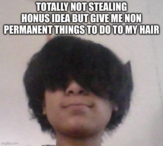 im bored | TOTALLY NOT STEALING HONUS IDEA BUT GIVE ME NON PERMANENT THINGS TO DO TO MY HAIR | made w/ Imgflip meme maker