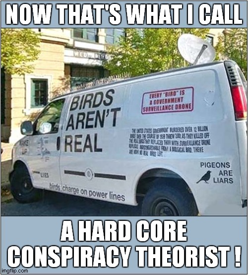 Birds: Can You Trust Them ? | NOW THAT'S WHAT I CALL; A HARD CORE CONSPIRACY THEORIST ! | image tagged in birds,conspiracy theory | made w/ Imgflip meme maker