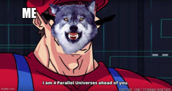 i am 4 parallel universes ahead of you | ME | image tagged in i am 4 parallel universes ahead of you | made w/ Imgflip meme maker