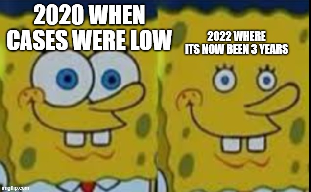 corona better end this year | 2022 WHERE ITS NOW BEEN 3 YEARS; 2020 WHEN CASES WERE LOW | image tagged in spongebob realizing,lol,haha,memes,2022,why are you reading this | made w/ Imgflip meme maker