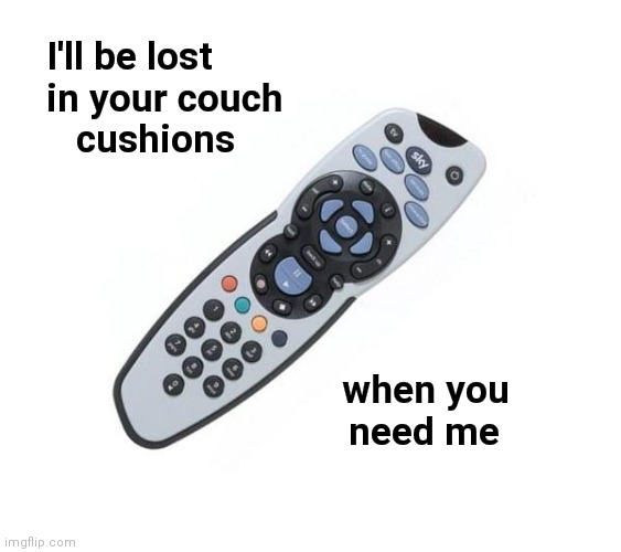 Remote control | I'll be lost
    in your couch
       cushions when you           
need me | image tagged in remote control | made w/ Imgflip meme maker