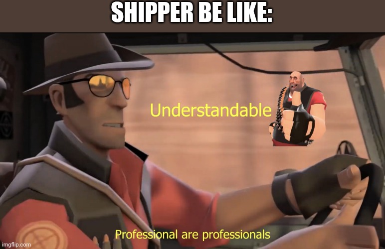 Professional are professionals | SHIPPER BE LIKE: | image tagged in professional are professionals | made w/ Imgflip meme maker