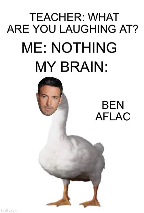 Ben the Aflac Duck | image tagged in memes,funny,teacher what are you laughing at,nothing,my brain,lmao | made w/ Imgflip meme maker