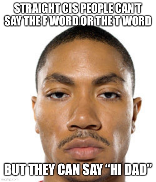Time to get cancelled | STRAIGHT CIS PEOPLE CAN’T SAY THE F WORD OR THE T WORD; BUT THEY CAN SAY “HI DAD” | image tagged in cry about it | made w/ Imgflip meme maker