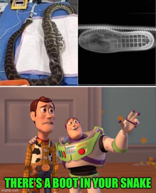 There’s a snake in my boot! | THERE’S A BOOT IN YOUR SNAKE | image tagged in memes,toy story,toys,44colt,pixar,snakes | made w/ Imgflip meme maker