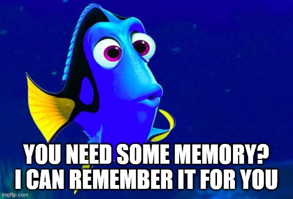 Bad Memory Fish | YOU NEED SOME MEMORY?
I CAN REMEMBER IT FOR YOU | image tagged in bad memory fish | made w/ Imgflip meme maker