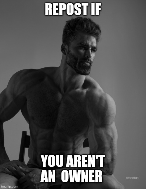Giga Chad | REPOST IF; YOU AREN'T AN  OWNER | image tagged in giga chad | made w/ Imgflip meme maker