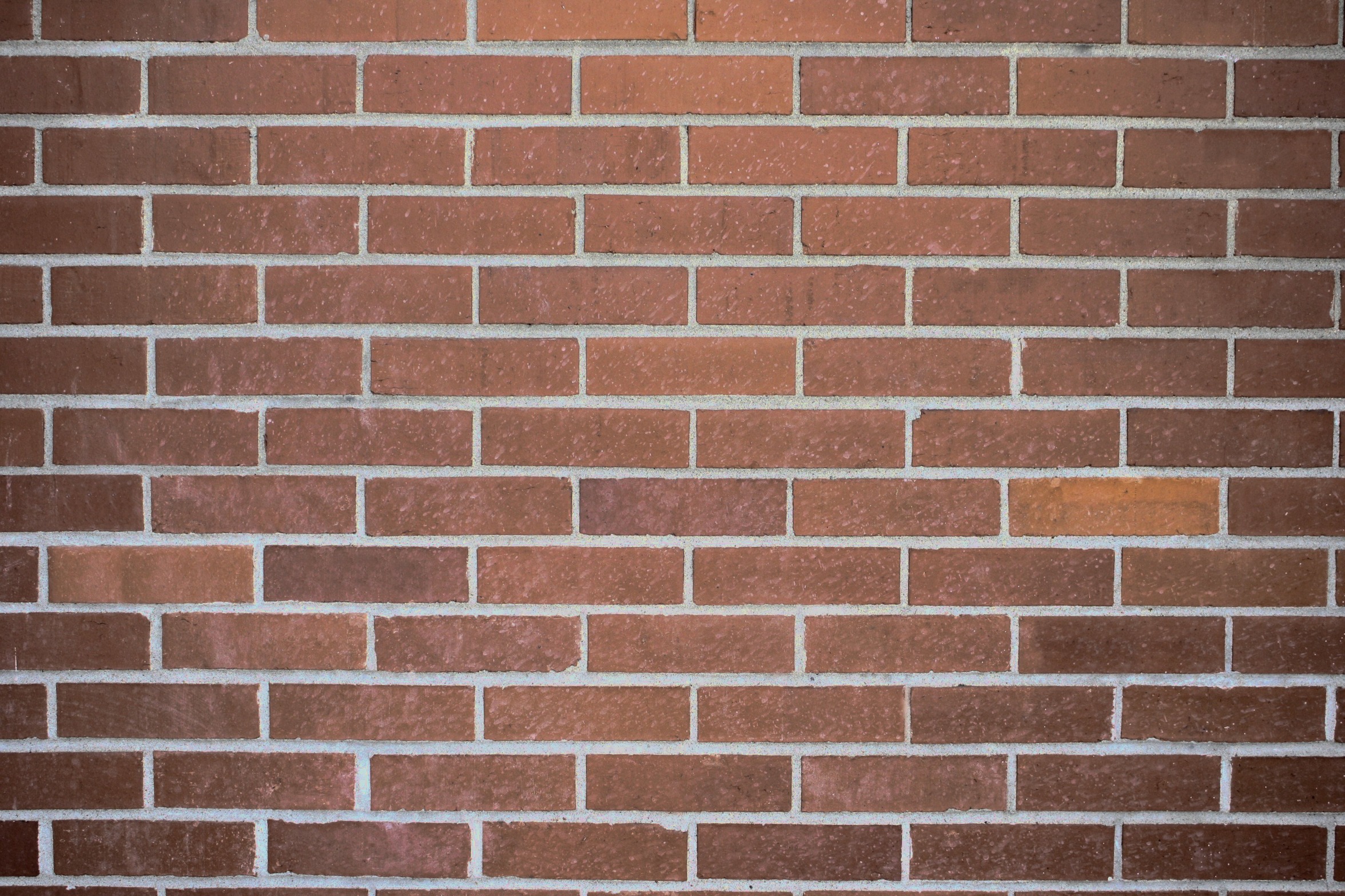 brick wall Blank Meme Template