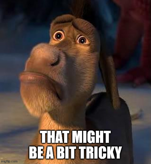 sad donkey | THAT MIGHT BE A BIT TRICKY | image tagged in sad donkey | made w/ Imgflip meme maker