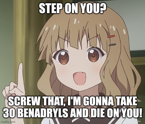 Idk man | STEP ON YOU? SCREW THAT, I'M GONNA TAKE 30 BENADRYLS AND DIE ON YOU! | image tagged in the person above me | made w/ Imgflip meme maker