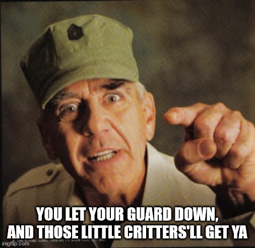 Military | YOU LET YOUR GUARD DOWN, AND THOSE LITTLE CRITTERS'LL GET YA | image tagged in military | made w/ Imgflip meme maker