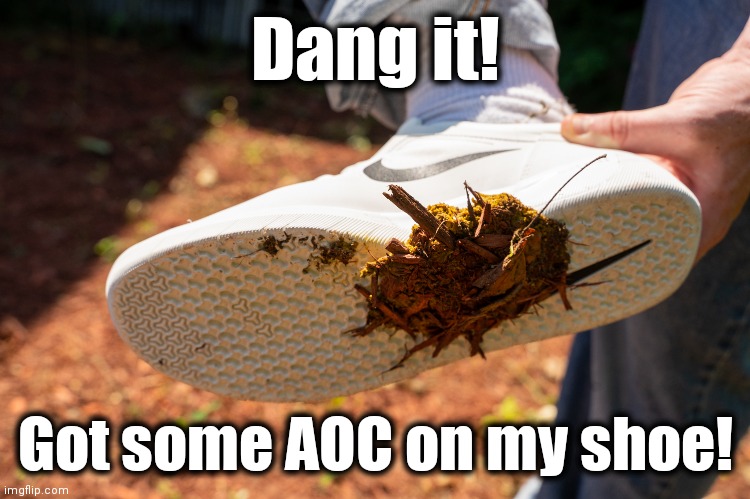 Dang it! Got some AOC on my shoe! | made w/ Imgflip meme maker