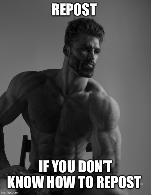 Giga Chad | REPOST; IF YOU DON’T KNOW HOW TO REPOST | image tagged in giga chad | made w/ Imgflip meme maker