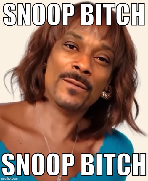 . | SNOOP BITCH; SNOOP BITCH | made w/ Imgflip meme maker