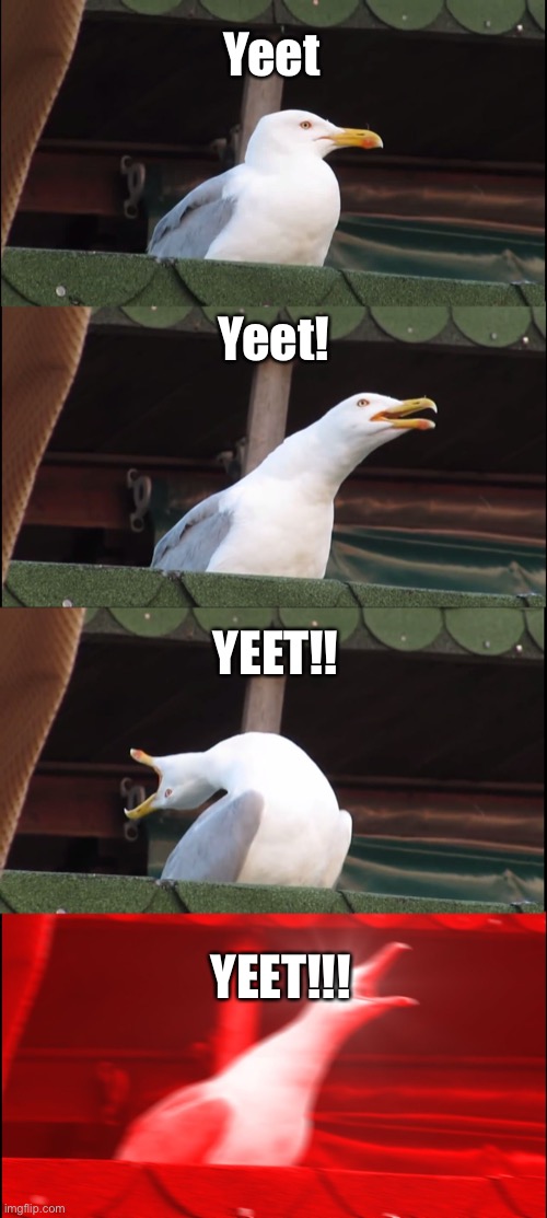 Yeet | Yeet; Yeet! YEET!! YEET!!! | image tagged in memes,inhaling seagull | made w/ Imgflip meme maker