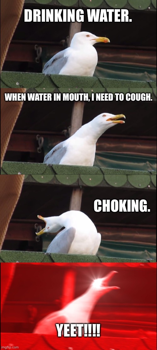 Choking | DRINKING WATER. WHEN WATER IN MOUTH, I NEED TO COUGH. CHOKING. YEET!!!! | image tagged in memes,inhaling seagull | made w/ Imgflip meme maker