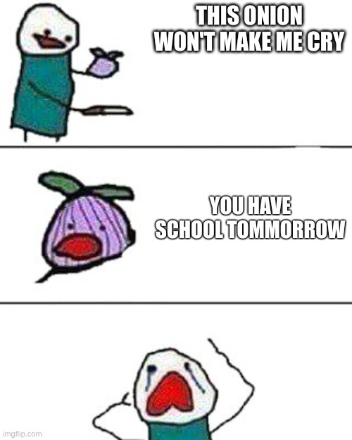 this onion won't make me cry | THIS ONION WON'T MAKE ME CRY; YOU HAVE SCHOOL TOMMORROW | image tagged in this onion won't make me cry | made w/ Imgflip meme maker