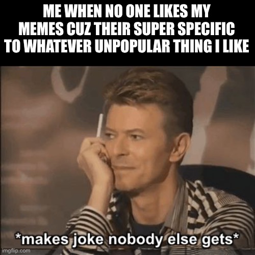 Everything I like was either never popular or popular like 50yrs ago | ME WHEN NO ONE LIKES MY MEMES CUZ THEIR SUPER SPECIFIC TO WHATEVER UNPOPULAR THING I LIKE | image tagged in memes,jokes | made w/ Imgflip meme maker