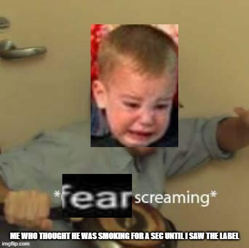 Fear Screaming | ME WHO THOUGHT HE WAS SMOKING FOR A SEC UNTIL I SAW THE LABEL | image tagged in fear screaming | made w/ Imgflip meme maker