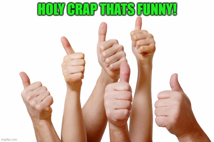 thumbs up | HOLY CRAP THATS FUNNY! | image tagged in thumbs up | made w/ Imgflip meme maker