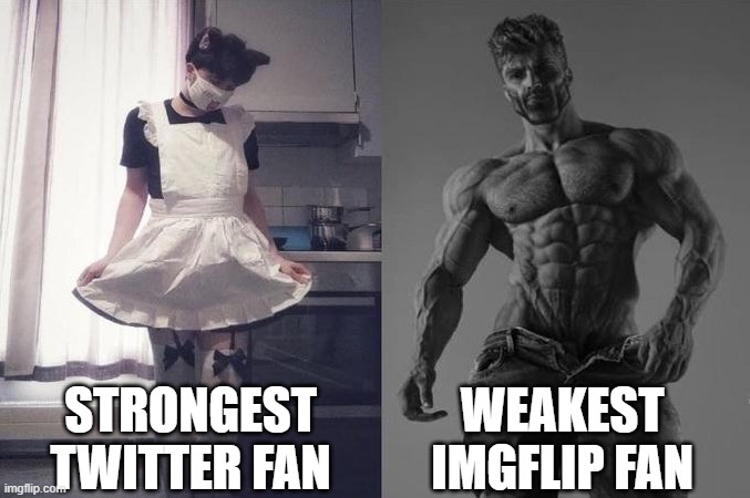 Strongest Fan VS Weakest Fan | STRONGEST TWITTER FAN; WEAKEST IMGFLIP FAN | image tagged in strongest fan vs weakest fan | made w/ Imgflip meme maker