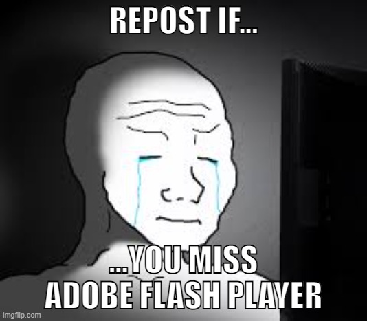 Sad wojak | REPOST IF... ...YOU MISS ADOBE FLASH PLAYER | image tagged in sad wojak | made w/ Imgflip meme maker