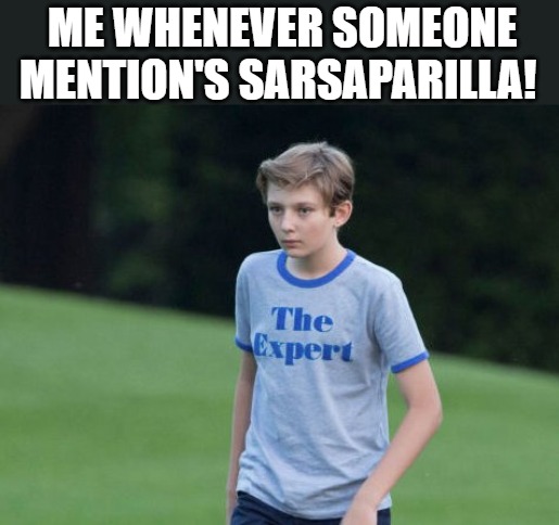 i got it | ME WHENEVER SOMEONE MENTION'S SARSAPARILLA! | image tagged in the expert | made w/ Imgflip meme maker