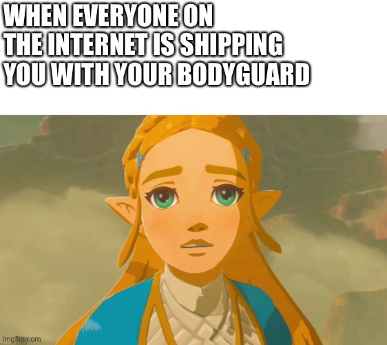 Confused Zelda | WHEN EVERYONE ON THE INTERNET IS SHIPPING YOU WITH YOUR BODYGUARD | image tagged in confused zelda | made w/ Imgflip meme maker