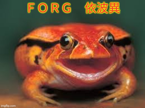 ＦＯＲＧ　依波異 | made w/ Imgflip meme maker