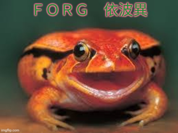 ＦＯＲＧ　依波異 | made w/ Imgflip meme maker