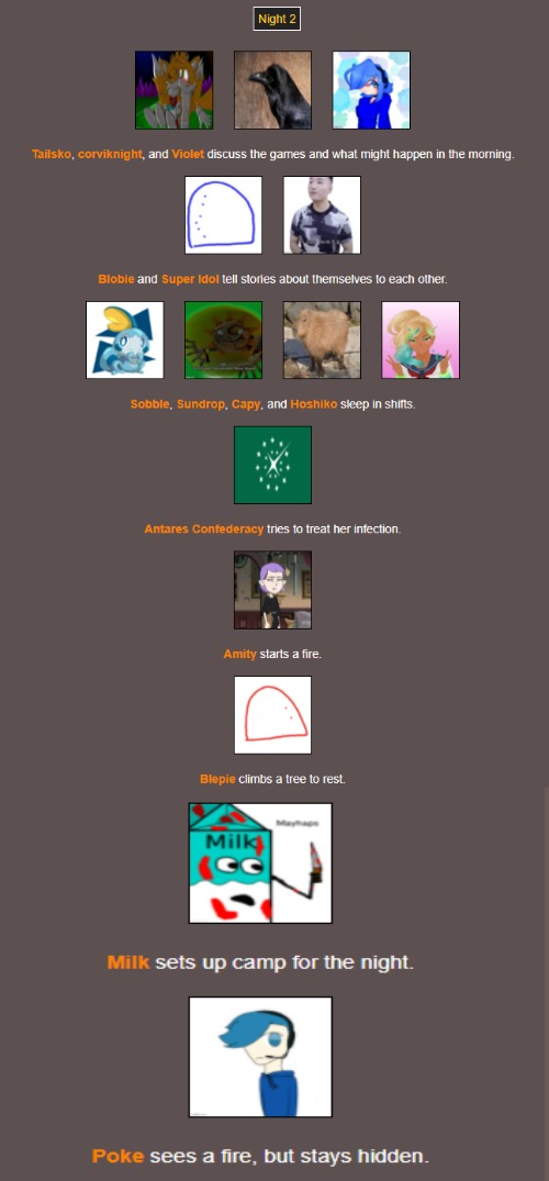 Night 2 | image tagged in hunger games | made w/ Imgflip meme maker