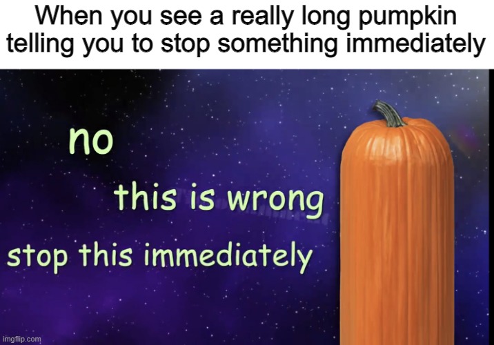 Pumpkin Facts | When you see a really long pumpkin telling you to stop something immediately | image tagged in pumpkin facts,memes | made w/ Imgflip meme maker