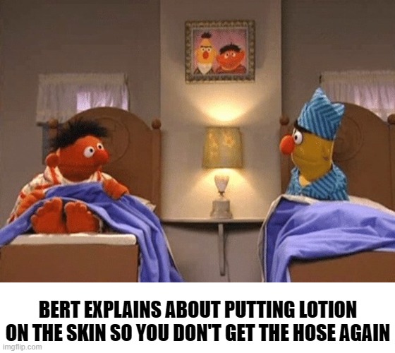 BERT & ERNIE TALK IN BED | BERT EXPLAINS ABOUT PUTTING LOTION ON THE SKIN SO YOU DON'T GET THE HOSE AGAIN | image tagged in bert ernie talk in bed | made w/ Imgflip meme maker