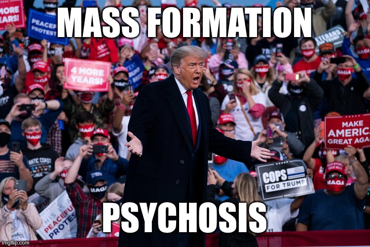 MASS FORMATION; PSYCHOSIS | made w/ Imgflip meme maker