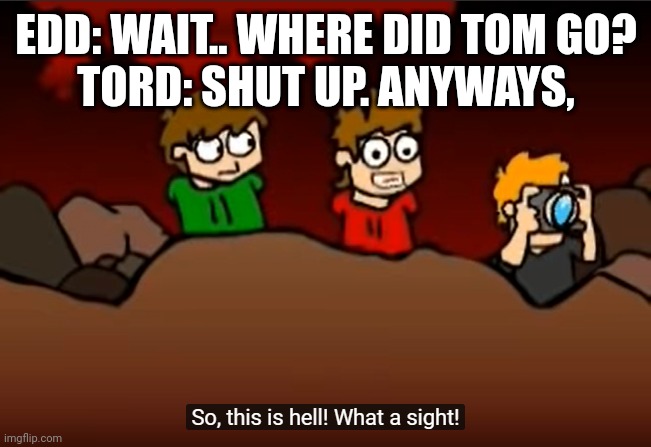 Wait where's Tom?- | EDD: WAIT.. WHERE DID TOM GO?
TORD: SHUT UP. ANYWAYS, | image tagged in so this is hell | made w/ Imgflip meme maker