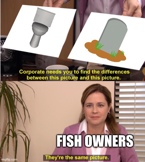 *flush* | FISH OWNERS | image tagged in memes,they're the same picture | made w/ Imgflip meme maker