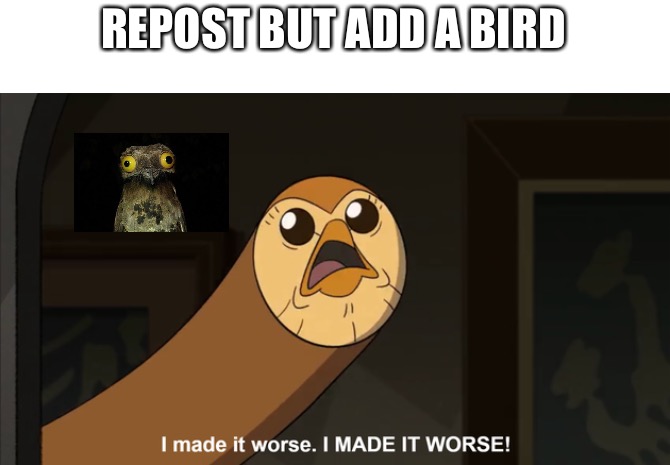 I made it worse I MADE IT WORSE! | REPOST BUT ADD A BIRD | image tagged in i made it worse i made it worse | made w/ Imgflip meme maker