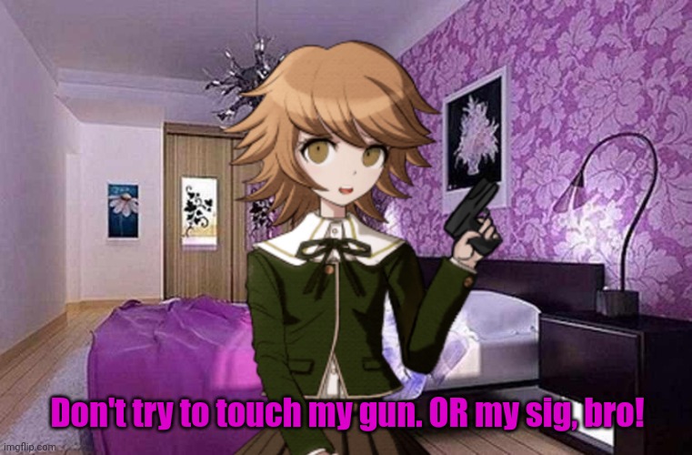 Trap problems | Don't try to touch my gun. OR my sig, bro! | image tagged in pink bedroom,femboy,anime boi,gun,trap,problems | made w/ Imgflip meme maker