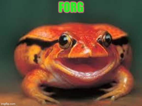 FORG | made w/ Imgflip meme maker