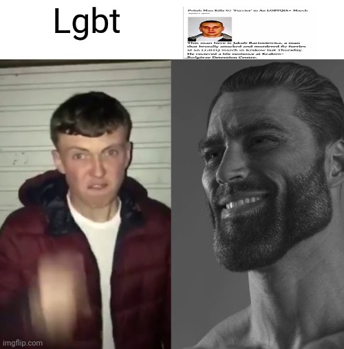 Average Fan vs Average Enjoyer | Lgbt | image tagged in average fan vs average enjoyer | made w/ Imgflip meme maker